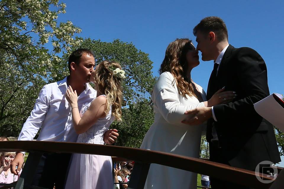 В июле в Камышине Волгоградской области поженились 84 пары