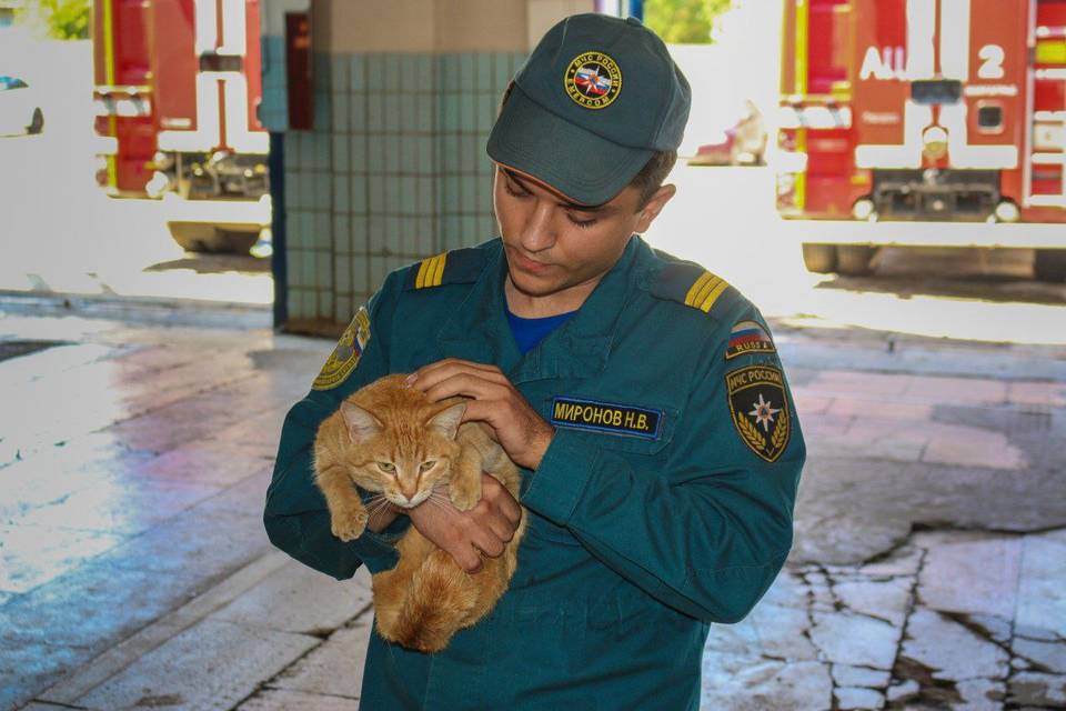 Волгоградские пожарные показали свой талисман - рыжую кошку