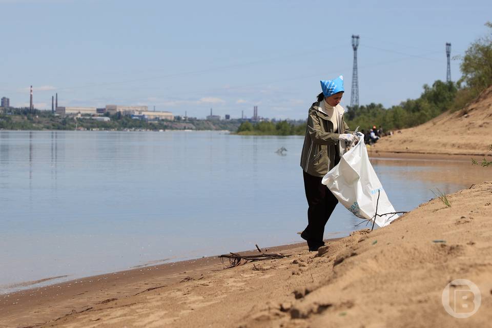 В Волгоградской области в порядок приводят берега рек и озер