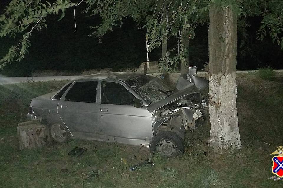 Подростки пострадали в ДТП с деревом в Волгоградской области