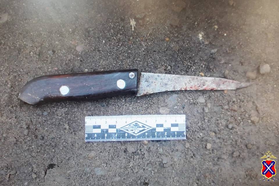 Под Волгоградом 44-летний рецидивист напал с ножом на собутыльника