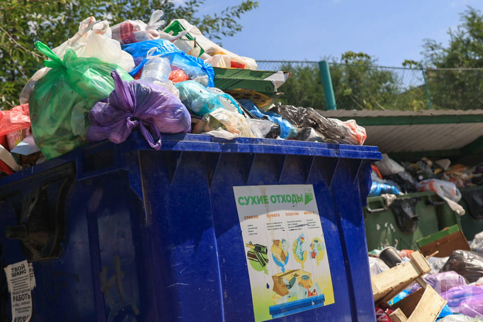 Волгоградские экологи рассказали, как долго природа будет "переваривать" пластиковый пакет
