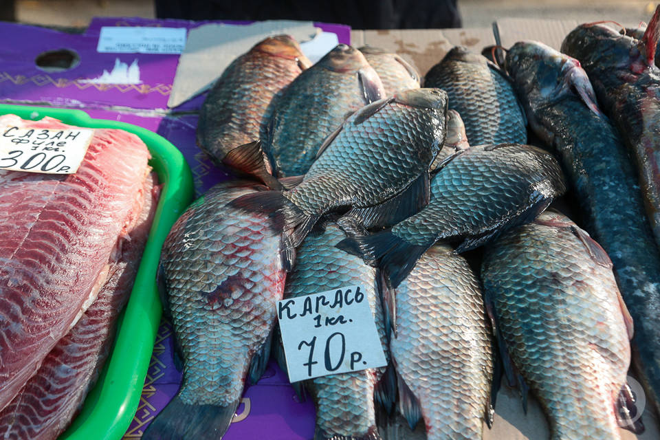 В Волгоградской области нашли партию опасной рыбы