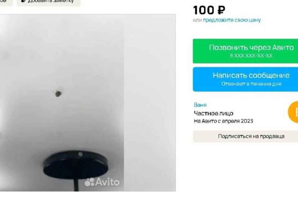 Божью коровку за 100 рублей пытается продать житель Волгограда