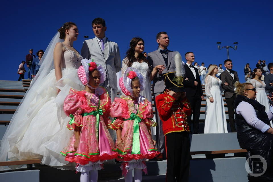 204 пары поженились на Покров Пресвятой Богородицы в Волгоградской области