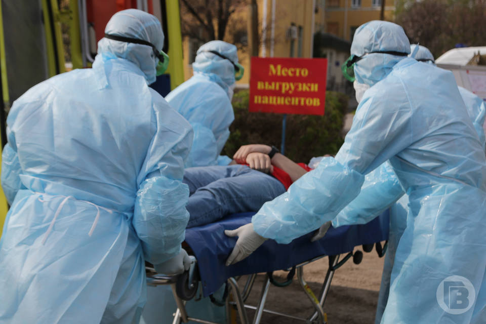 В Волгоградской области 54 взрослых и 6 детей заразились смертельно опасным вирусом