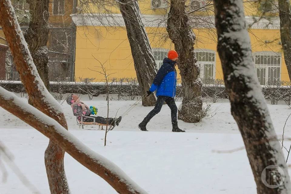 Метель со снегом обрушатся на Волгоградскую область