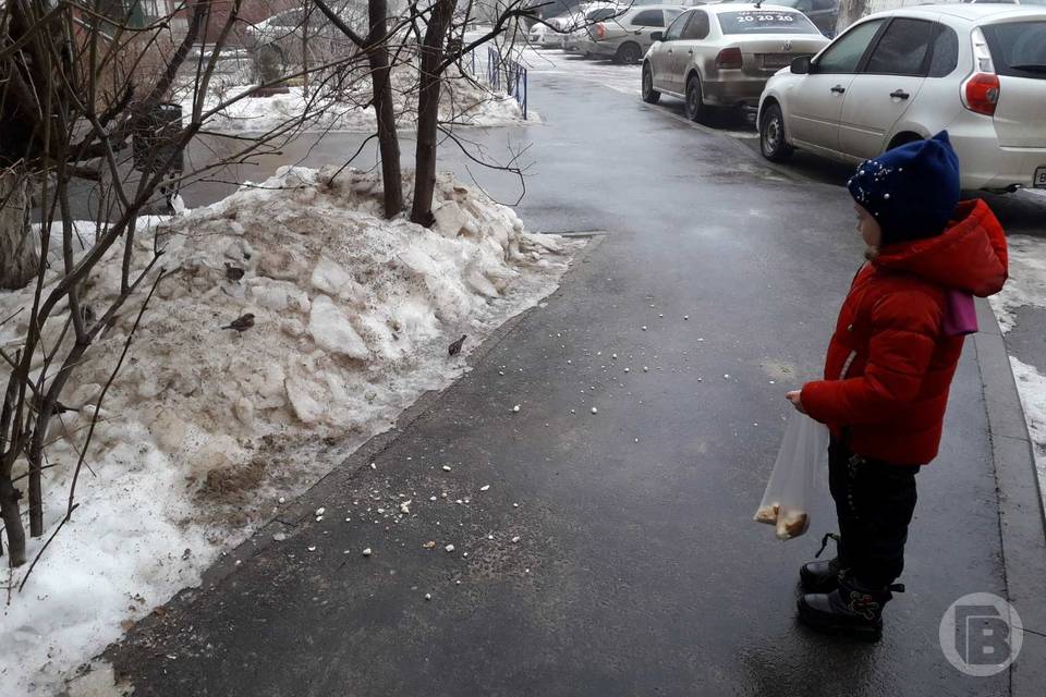 В Волгоградской области выпал первый снег