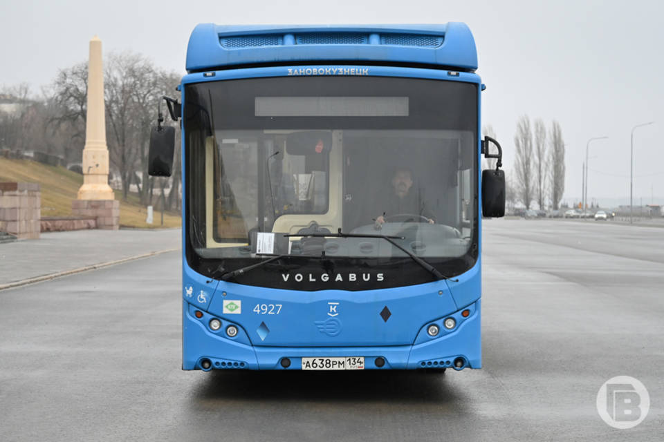 Волгоградская область закупит 83 автобуса разной вместимости