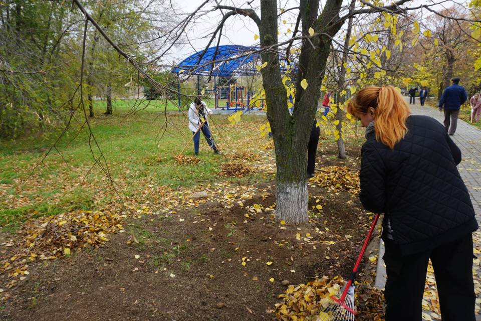 Под Волгоградом жители очистили парк площадью в 280 га