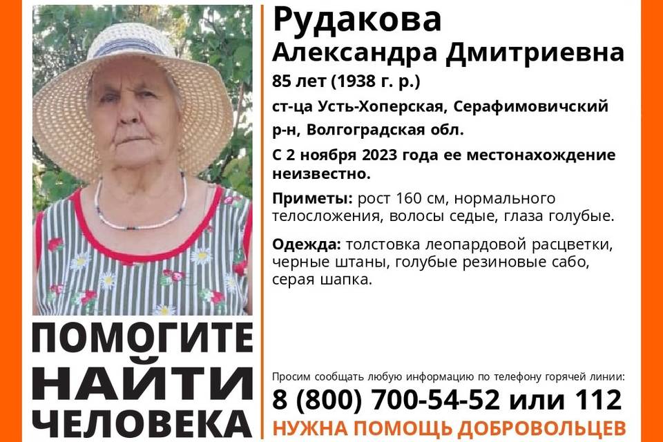 Под Волгоградом пропала 85-летняя Александра Рудакова в леопардовой толстовке