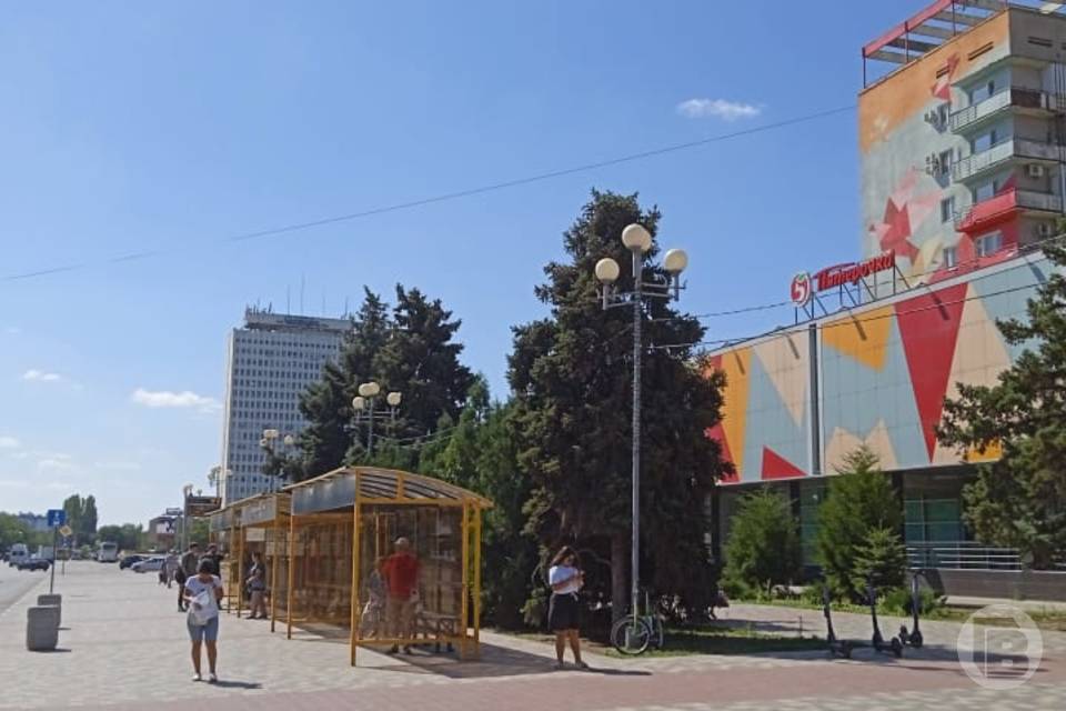 Общественник предложил установить памятник мэру Волжского Игорю Воронину