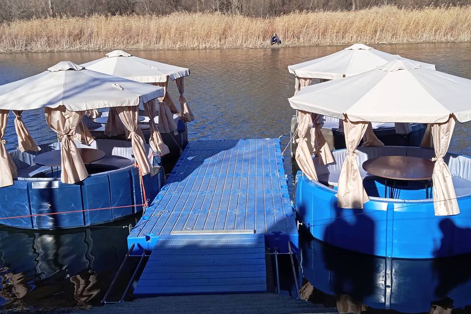 Лодки-роботы  и экофермы помогут завлечь туристов в Волгоград