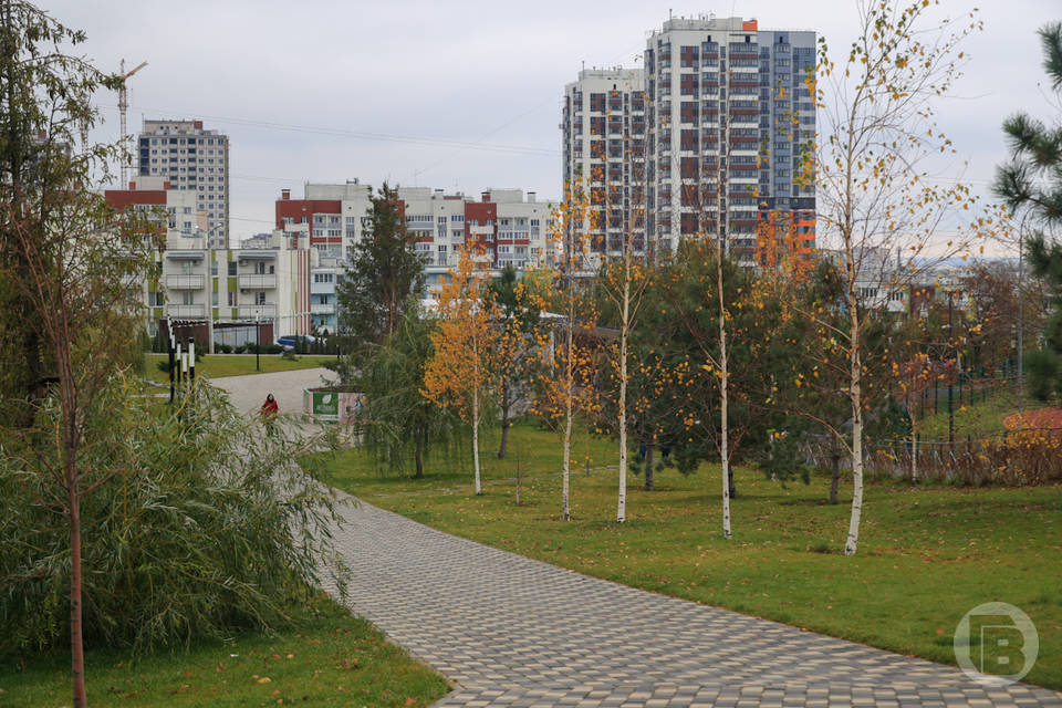 Школа на 2200 мест и ФОК с бассейном появятся в микрорайоне «Долина» в Волгограде