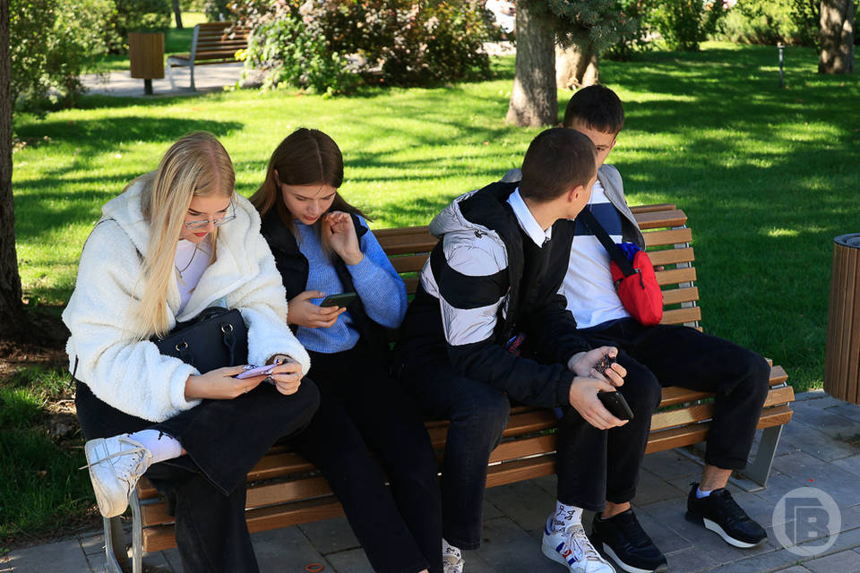 Волгоградским школьникам запретят пользоваться мобильными телефонами на уроках