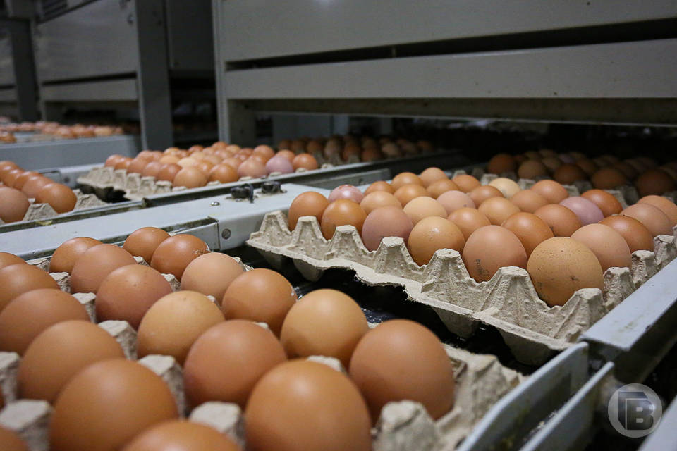 В Волгограде куриные яйца за 7 дней подорожали на 12%