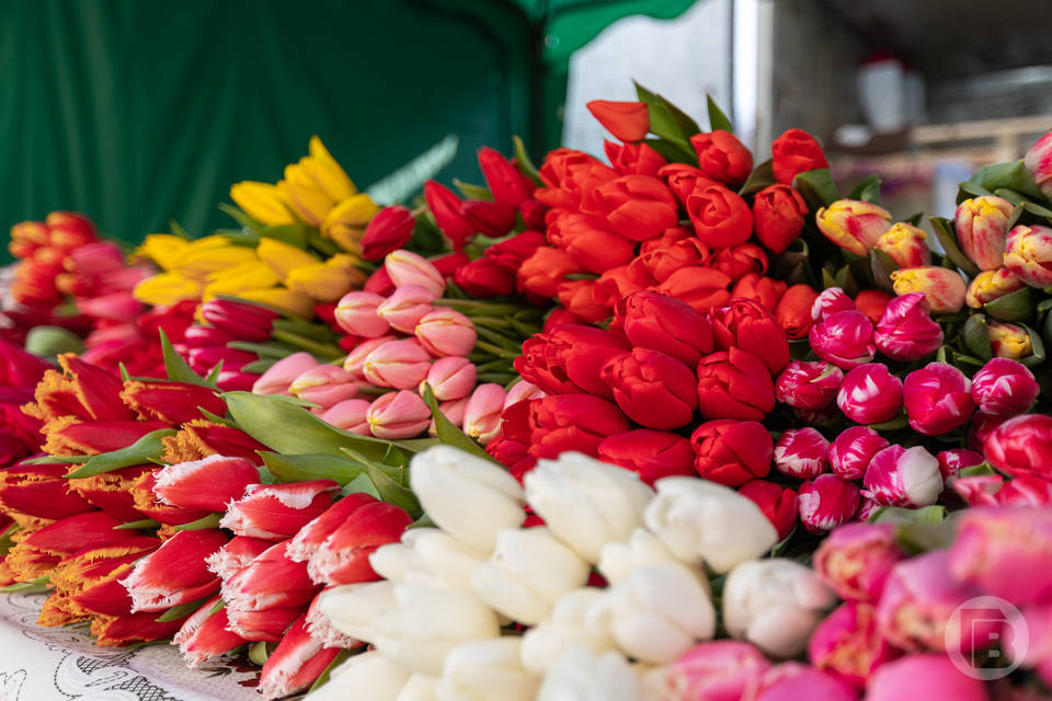 Цветочный бум: сколько стоит букет в Волгограде в День матери