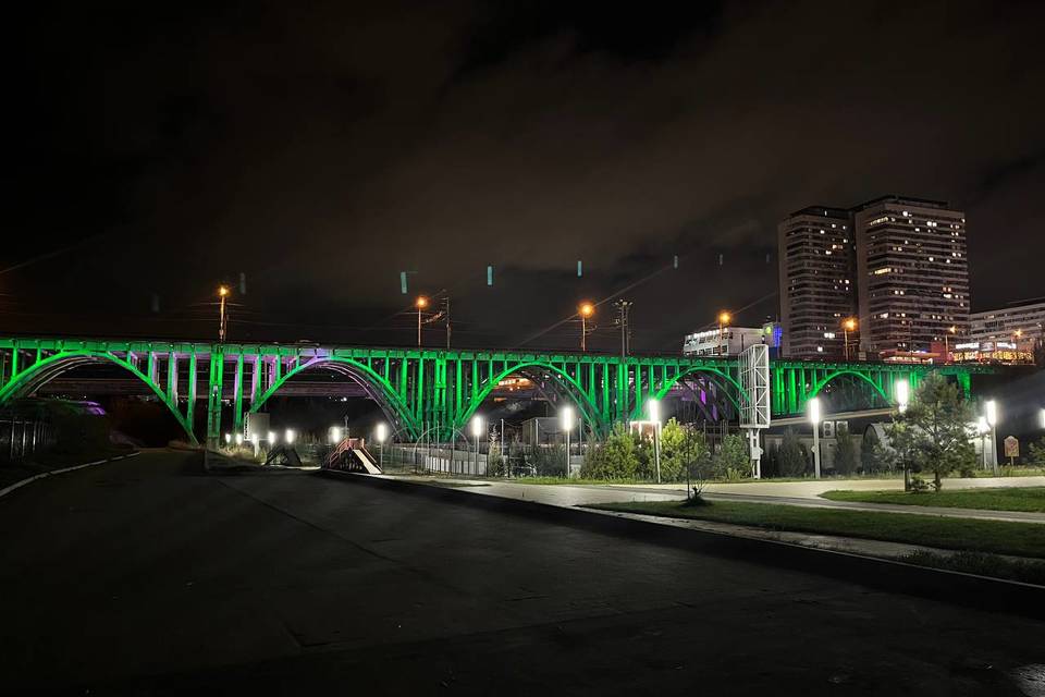 В Волгограде Астраханский мост и колесо обозрения в ЦПКиО подсветили зеленым цветом