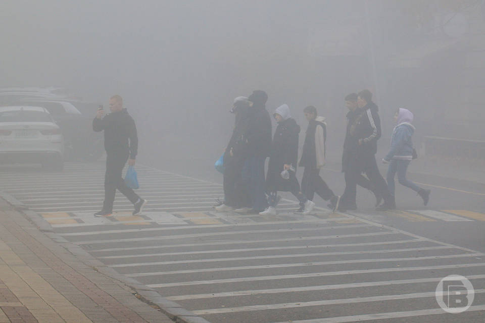 В Волгоградской области из-за тумана закрыли проезд транспорта