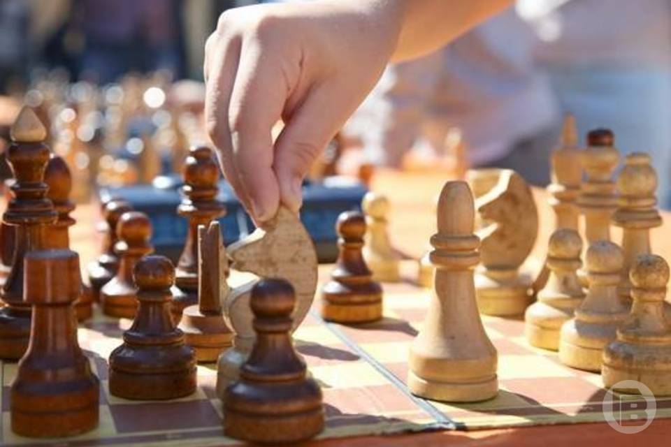 Болельщики волгоградского «Ротора» посоревнуются на шахматном турнире