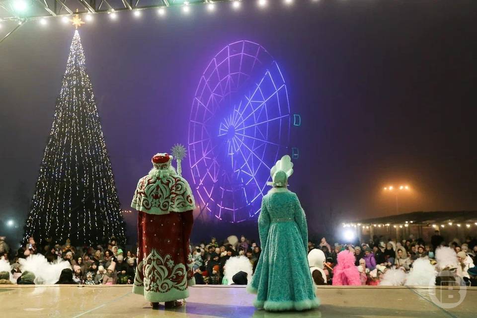 В Волгограде главную новогоднюю елку установят в ЦПКиО
