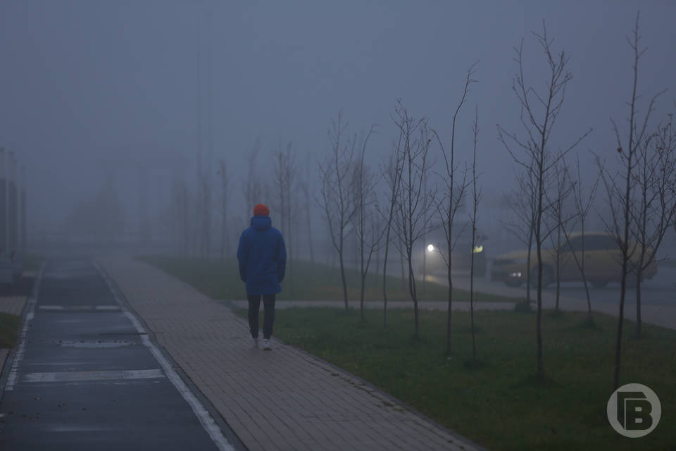 5 декабря жители четырех районов Волгограда на несколько часов останутся без света
