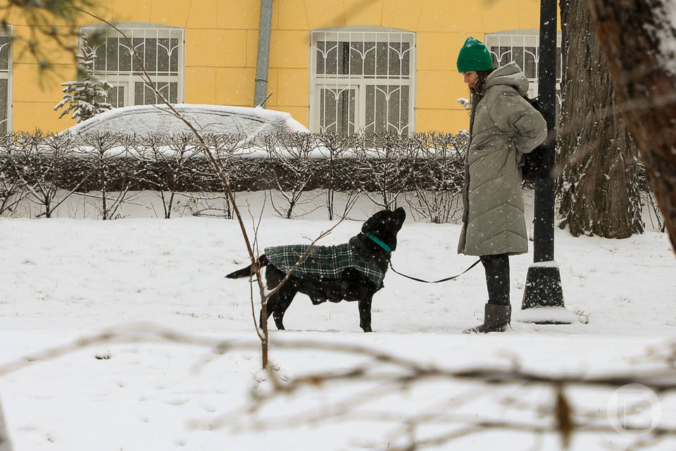 О погоде в Волгограде 5 декабря рассказали синоптики