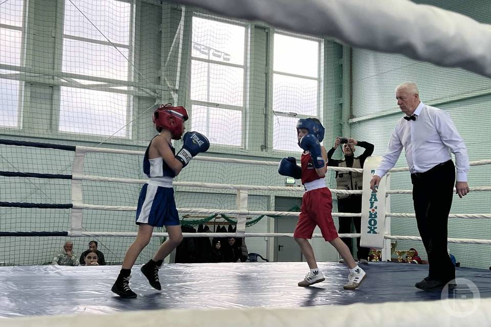 В Волгограде юные боксеры борются за кубок Максима Бабанина