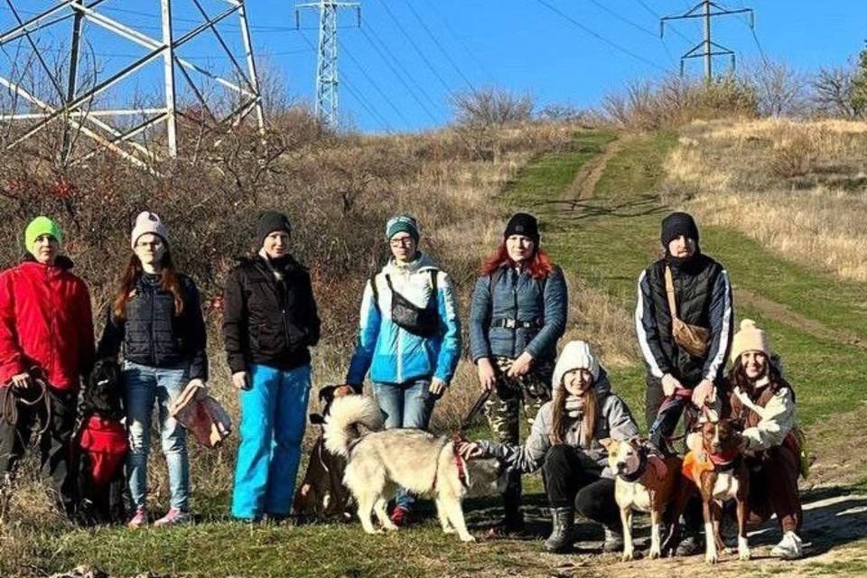К поиску пропавших волгоградцев волонтеры стали привлекать собак