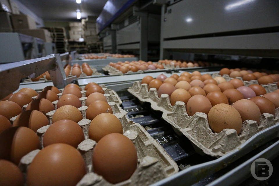 Обоснованность цен на куриные яйца проверит Генпрокуратура