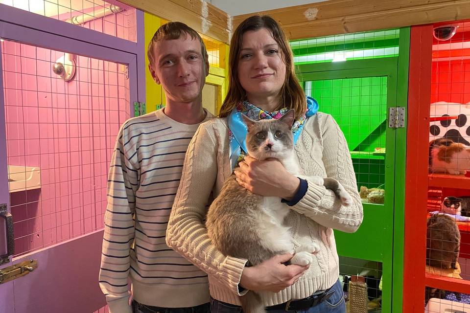 За бездомным котом в Волгоград специально приехала семья из Ростова-на-Дону
