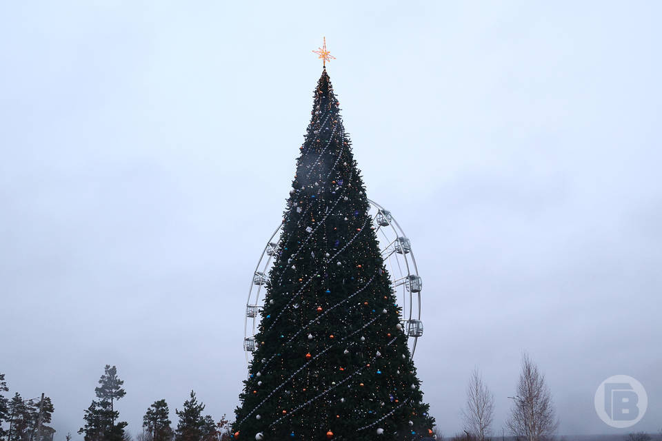 Огни на главной елке Волгограда зажгли 24 декабря