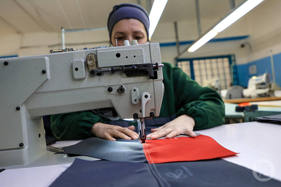 В Волгоградской области продолжится господдержка для стимулирования занятости населения