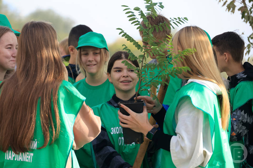 4,4 тыс. деревьев высадили школьники и воспитанники детсадов в Волгограде