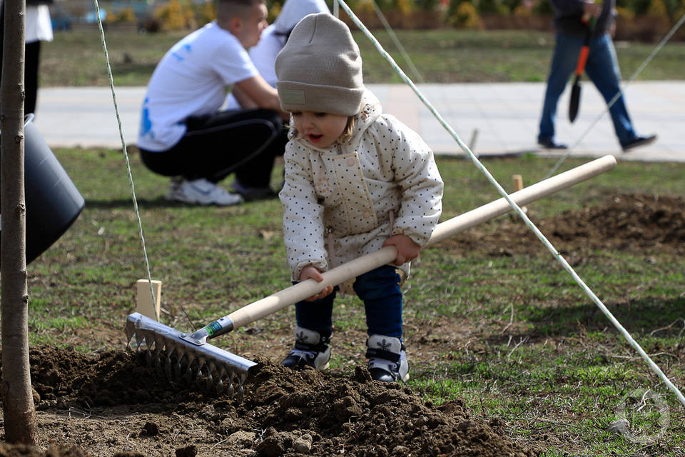 В Волгограде дети высадили 7 тысяч деревьев и кустарников