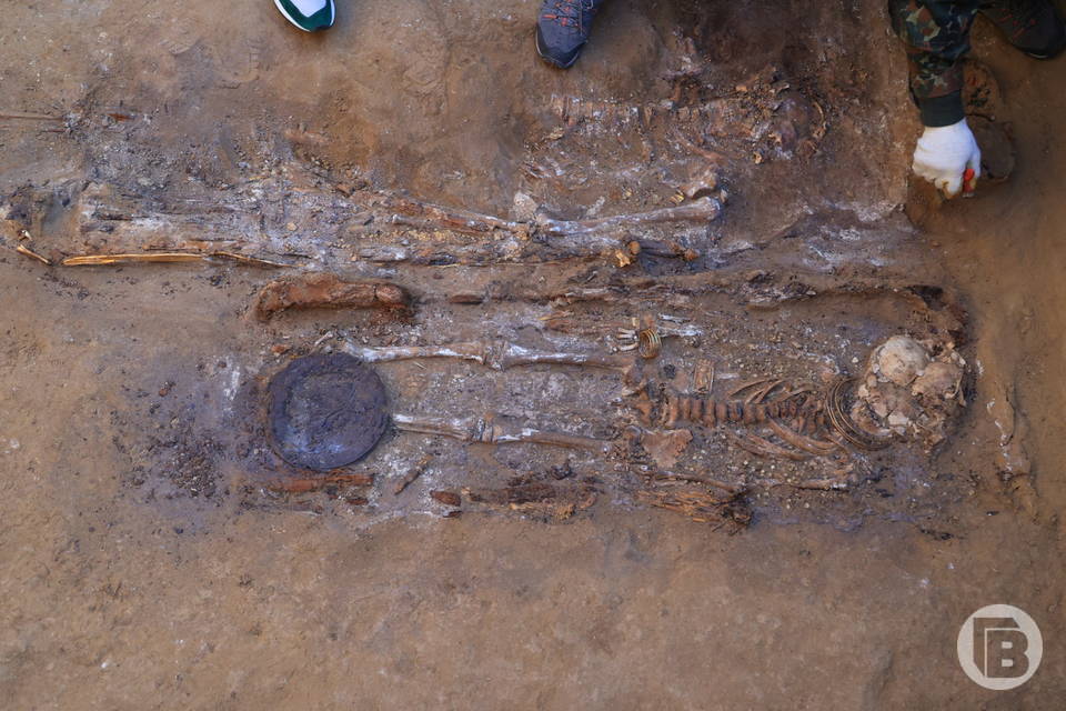 Кости древних животных и каменные изделия нашли в Волгограде