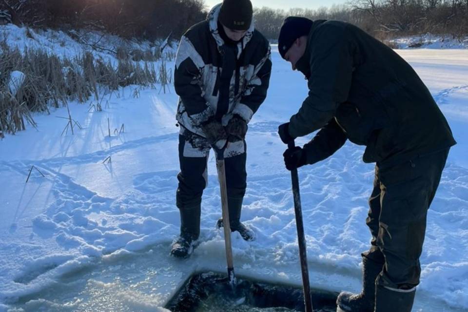 В водоемах Волгоградской области спасают рыбу от замора
