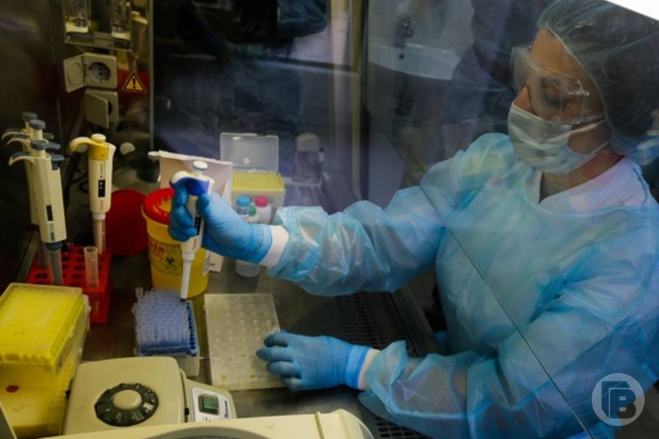 В сибирских льдах нашли зомби-вирусы, угрожающие новой эпидемией