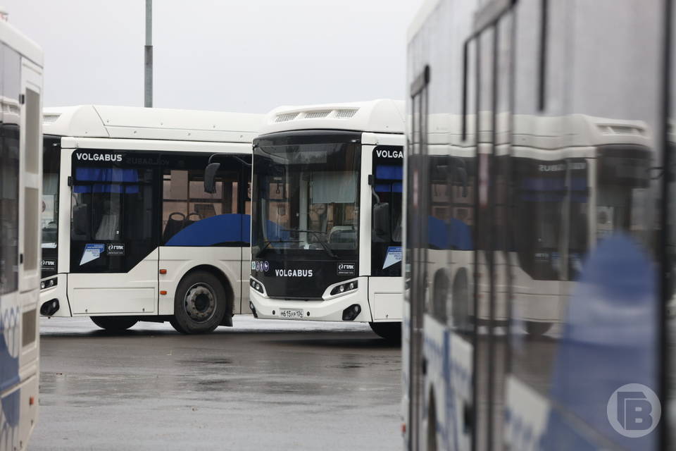 25 новых автобусов поступило в Волгоград