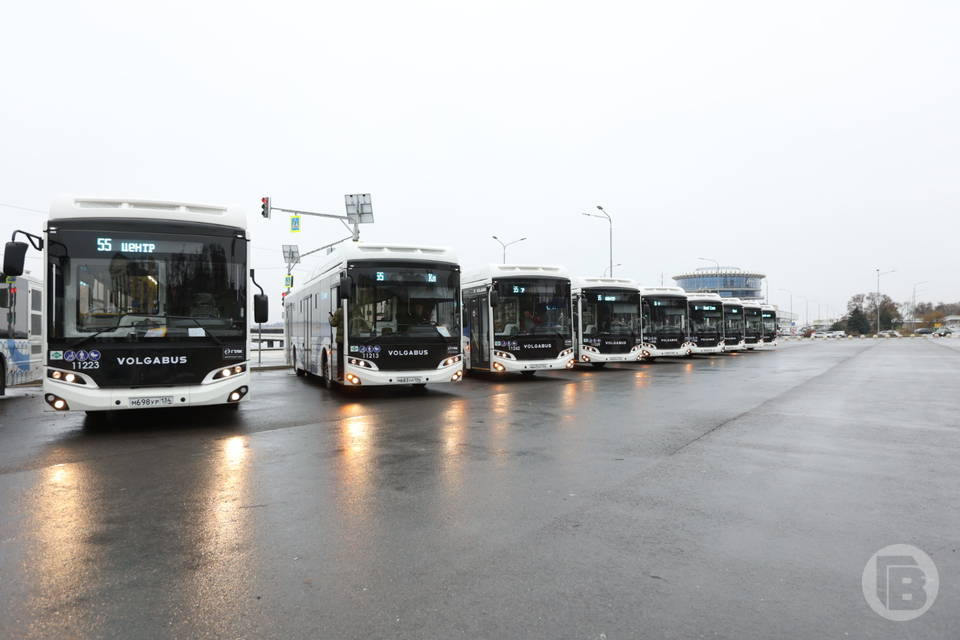 В Волгограде на линии выйдут еще 25 новых автобусов