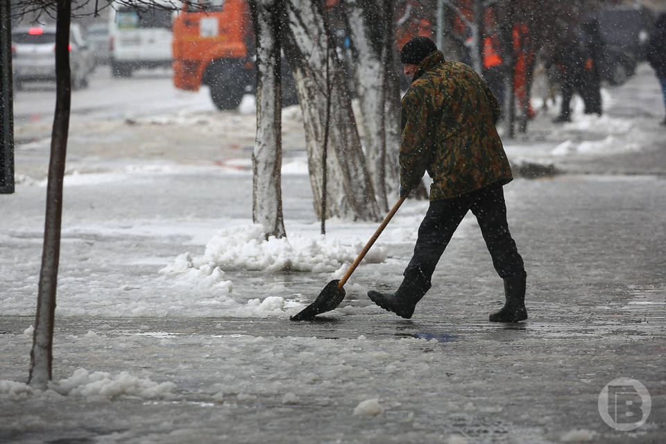 Мокрый снег и дождь обещают 1 февраля в Волгоградской области