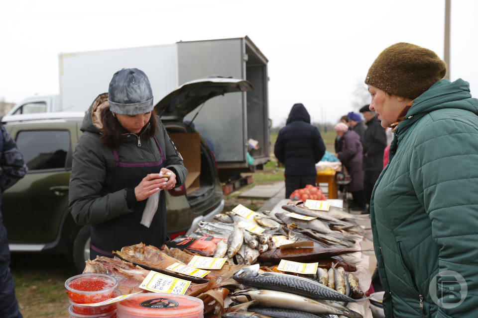 В Волгограде запретили вывоз опасной рыбы в Казахстан