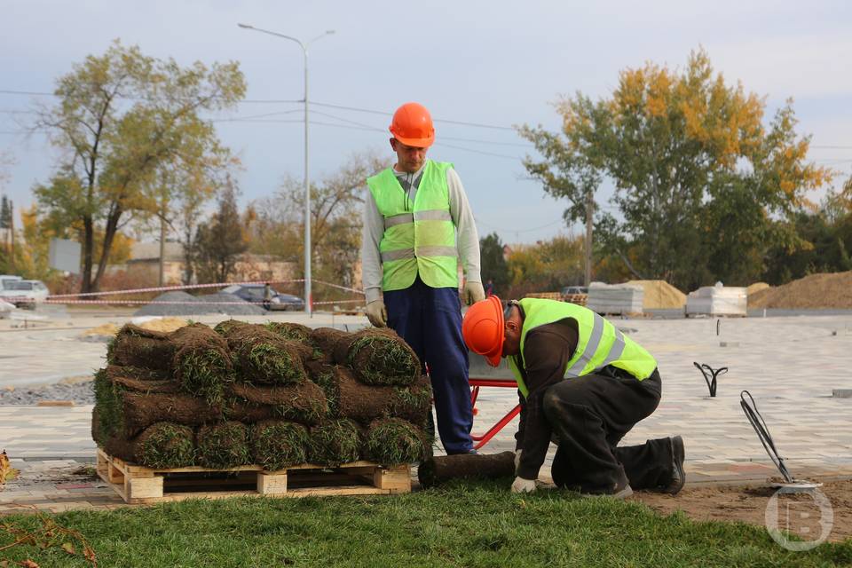 21 тыс. деревьев и кустарников высадили в Волгоградской области в рамках нацпроекта
