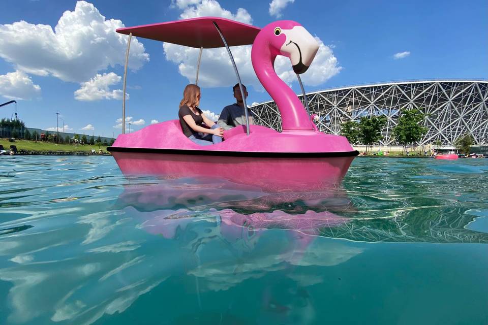 В Волгограде можно будет поплавать на двухметровом розовом фламинго
