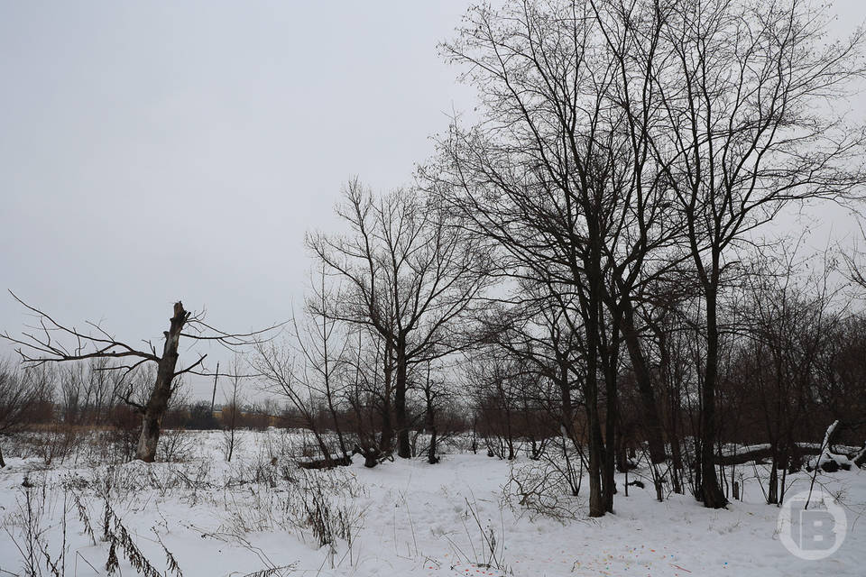 Двух исчезнувших пенсионеров нашли мертвыми в Волгоградской области
