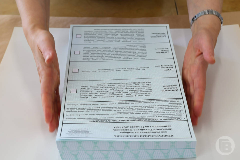 Утверждены списки общественных наблюдателей в Волгограде на выборы Президента РФ