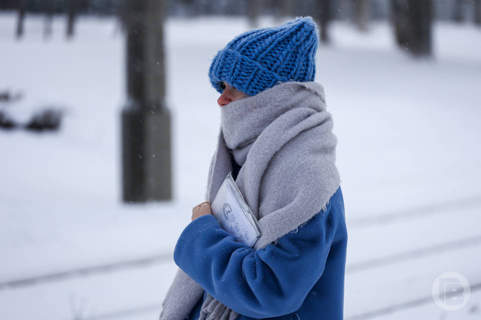 Яндекс Погода: самым холодным месяцем в Волгограде стал январь
