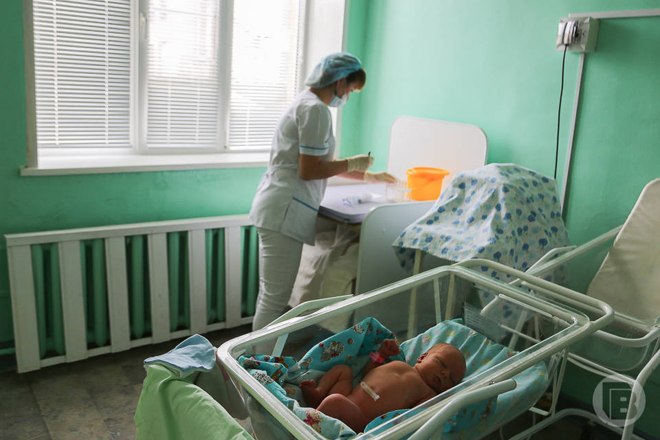 В Городищенском районе Волгоградской области родились 74 малыша