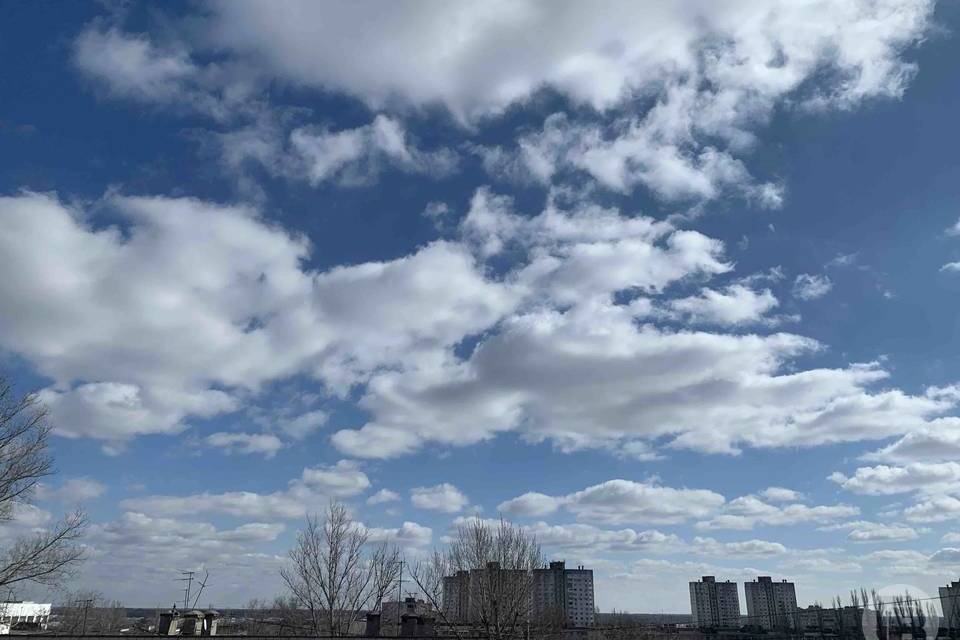 До заветных +12º потеплеет в Волгоградской области 24 марта