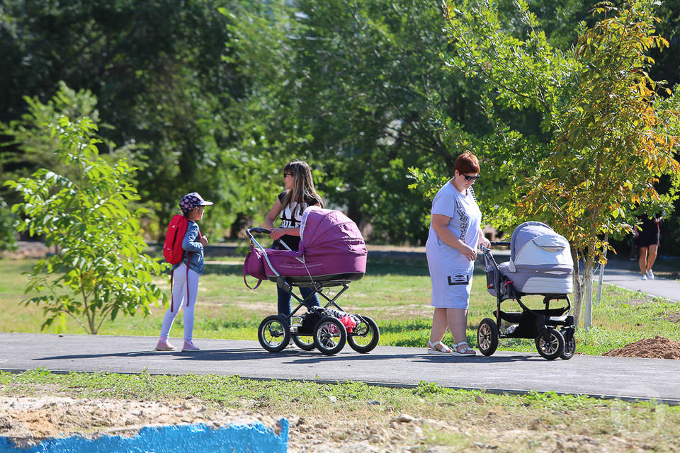 11 667 родителей в Волгоградском регионе получают пособие по уходу за ребенком до полутора лет